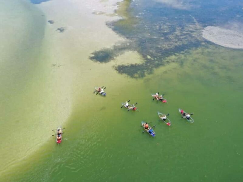 Tampa Bay: Shell Key Preserve Clear Kayak Tour - Final Thoughts