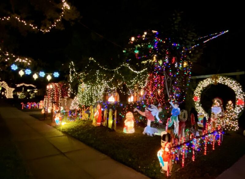 Tampa: Night of Lights Tour by Electric Golf Cart - Tour Features