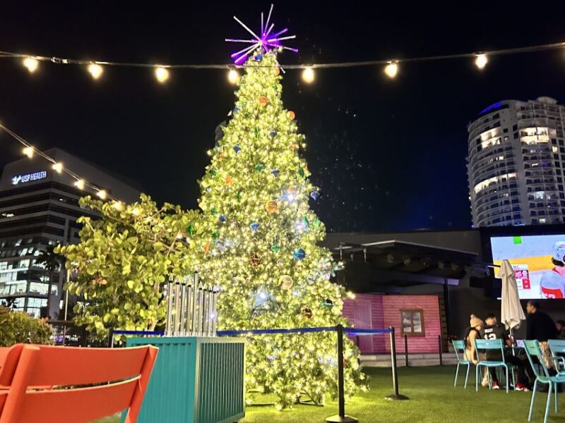 Tampa: Night of Lights Tour by Electric Golf Cart - Customer Reviews