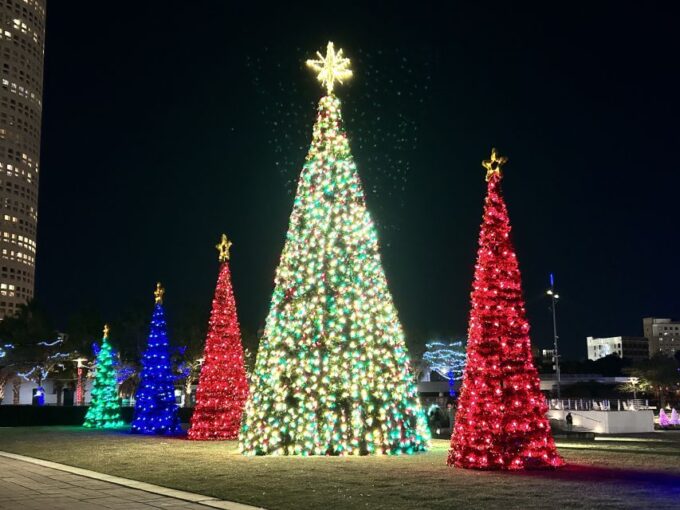 Tampa: Night of Lights Tour by Electric Golf Cart - Booking Details