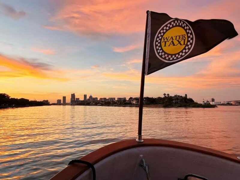 Tampa: Pirate Water Taxi Hop-On Hop-Off Tour - Introducing the Tampa Pirate Water Taxi Experience