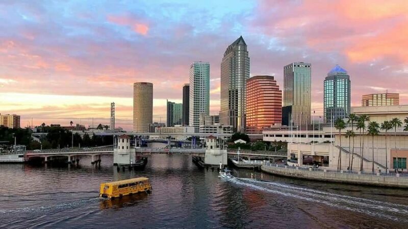 Tampa: Pirate Water Taxi Hop-On Hop-Off Tour - Who Will Love This Tour?