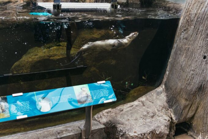 Tampa: The Florida Aquarium Ticket - Visitor Information and Tips