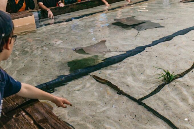 Tampa: The Florida Aquarium Ticket - Frequently Asked Questions