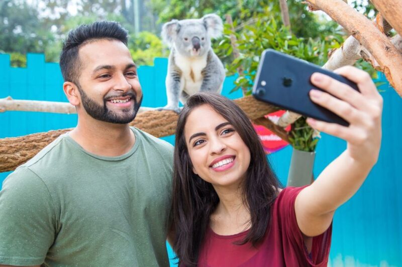 Tampa: ZooQuarium- ZooTampa & Florida Aquarium Combo Ticket - Accessibility and Amenities
