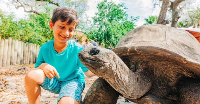 Tampa: ZooQuarium- ZooTampa & Florida Aquarium Combo Ticket - Animal Encounters