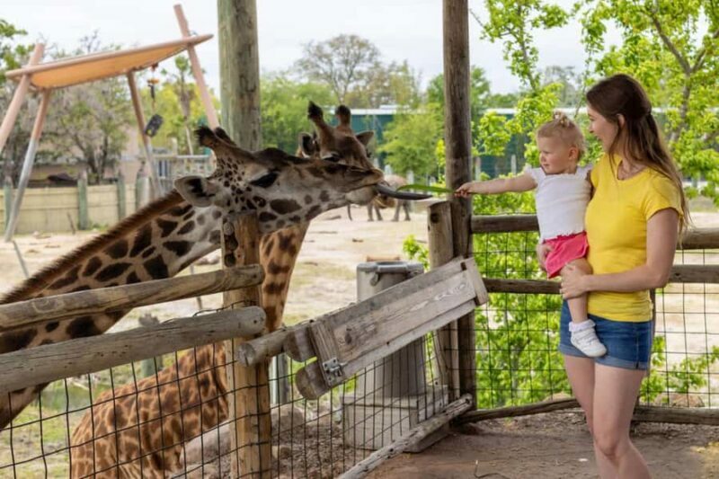 Tampa: ZooTampa at Lowry Park Ticket with Holiday Option - Key Points