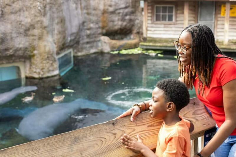 Tampa: ZooTampa at Lowry Park Ticket with Holiday Option - Who Would Love This Zoo?
