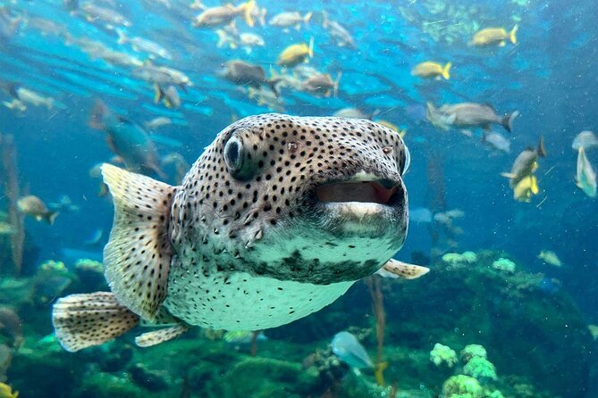 Tampas ZooQuarium Admission - Key Points
