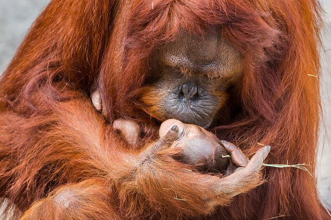 Tampas ZooQuarium Admission - Ticket Details and Accessibility