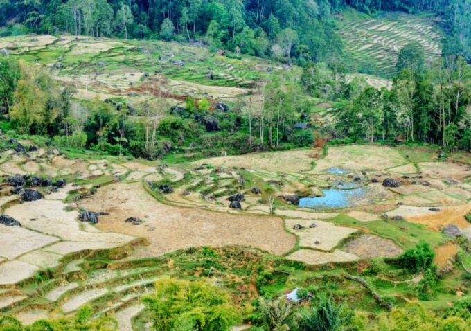 Tana Toraja: Private 3D2N Tour in South Sulawesi - Meeting Point and Arrival