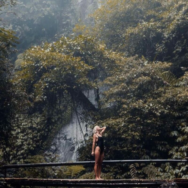 Tanah Lot-Nung Nung Waterfall-Jatiluwih and Bedugul - Who Will Appreciate This Tour?