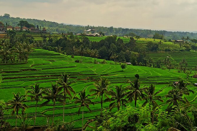 Tanah Lot Private Tour - Confirmation and Booking