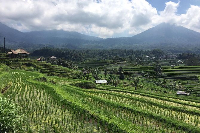 Tanah Lot Temple & UNESCO Heritage Tour - Full Day Tour - Customer Feedback