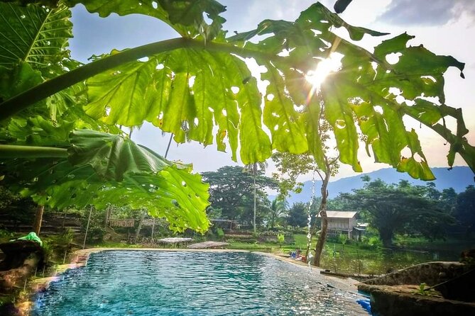 Tanay Nature Hiking Mountain Trekking Experience Near Manila - Additional Information