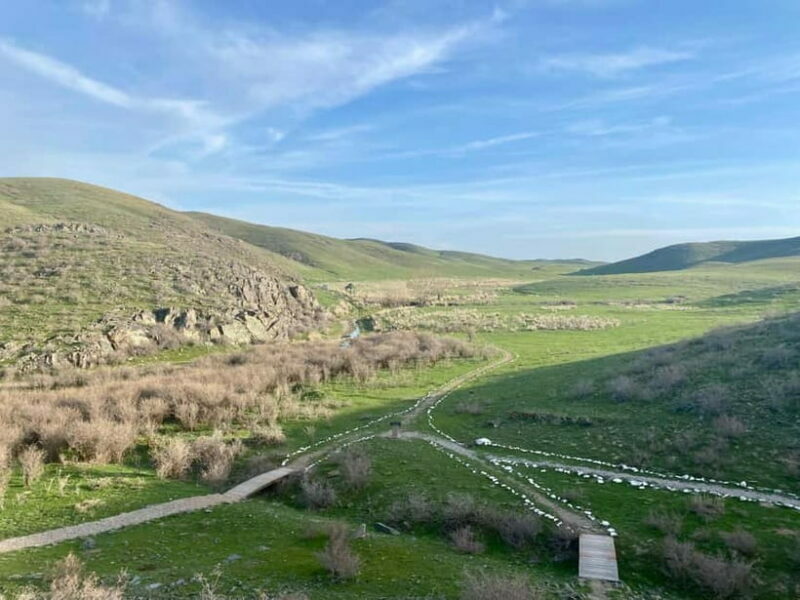 Tanbaly Gorge: Ancient Petroglyphs UNESCO Site Day Tour - Overview of the Tour Experience