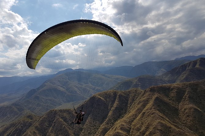Tandem Flight Paraglider With Instructor + HD - Customer Feedback