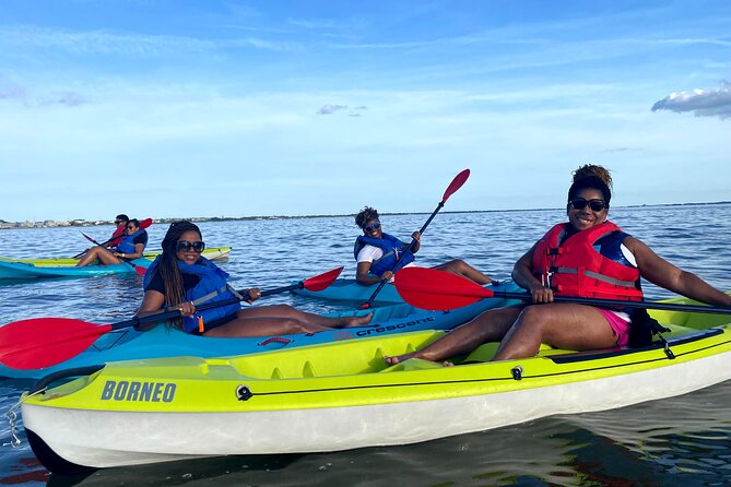 Tandem Kayak Rental in Rehoboth Bay - Scenic Landscape and Wildlife
