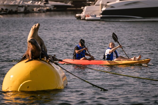 Tandem Kayak Rentals in Mission Bay - Frequently Asked Questions