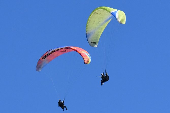 Tandem Paragliding Flights From Vik - Confirmation and Accessibility