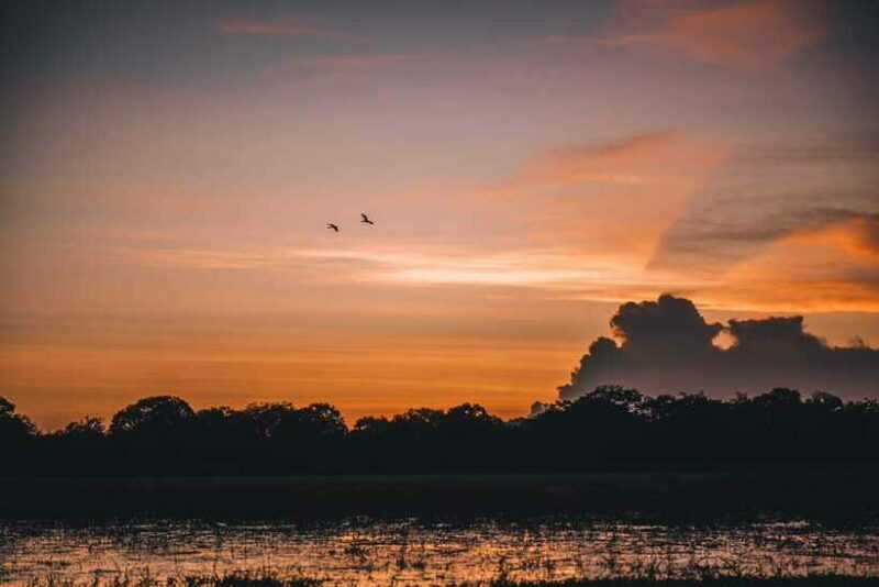 Tangalle/Hiriketiya: Yala National Park Safari in a 4x4 - Who Should Consider This Tour?