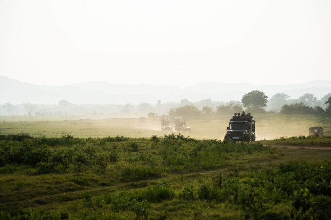 Tangalle/Hiriketiya: Yala National Park Safari in a 4x4 - Frequently Asked Questions