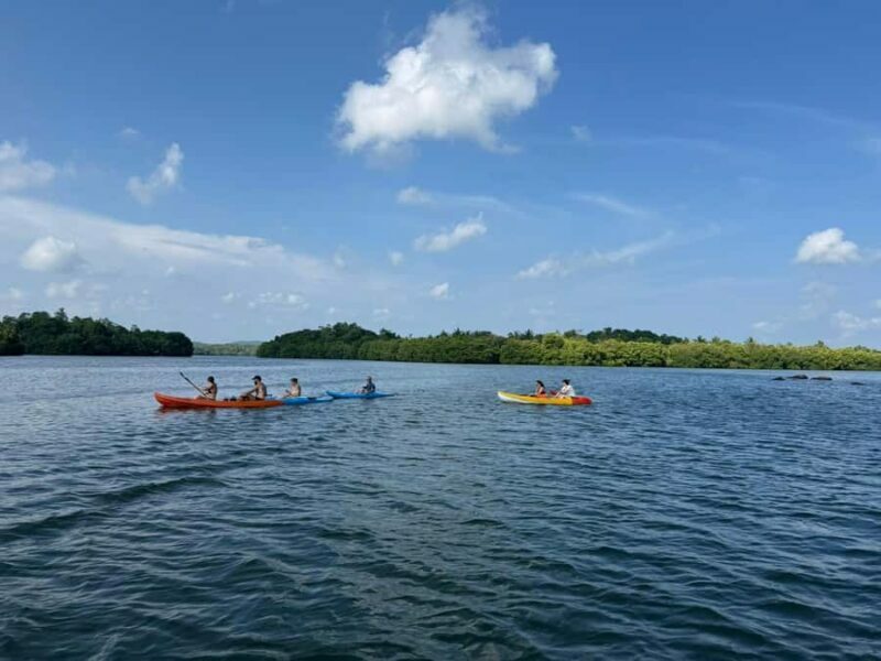 Tangalle/Mirissa: Galle Dutch Fort,Koggala Lake & Kayak Tour - A Walk Through the Experience: What to Expect