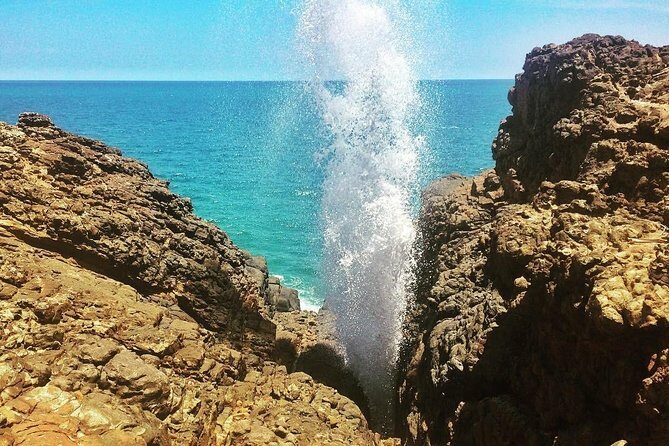 Tangalle Sightseeing Tour - Who Will Love This Tour?