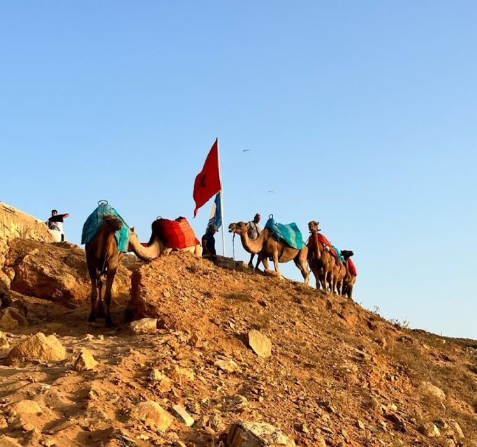 Tangier: Achakar Beach Sunset Camel Ride & Moroccan Dinner - Itinerary Highlights
