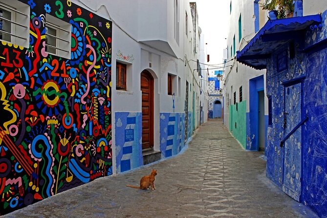Tangier & Asilah Private Tour With From Malaga or Marbella - Visiting Hercules Cave