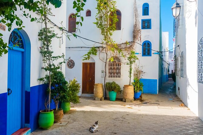 Tangier & Asilah Private Tour With From Malaga or Marbella - Private Camel Ride