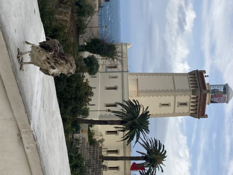 Tangier: City Highlights Discovery Tour - Key Points