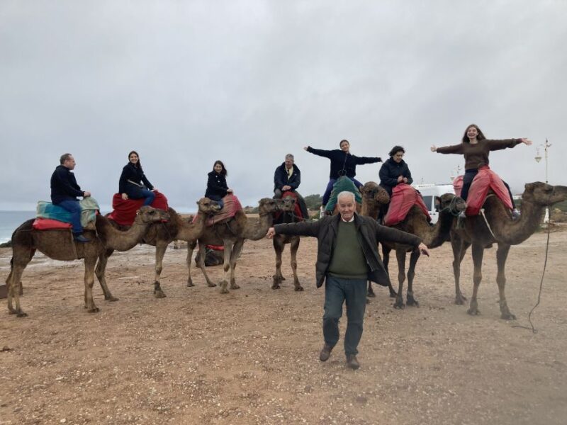 Tangier: City Highlights Discovery Tour - Guided Tour Information