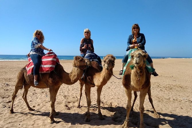 Tangier City Private Walking Tour - Discovering Tangier Medina
