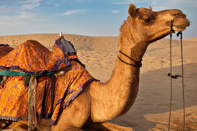 Tangier City Tour - Included Experiences