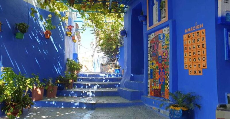 Tangier: Full-Day Trip to Chefchaouen - Key Points