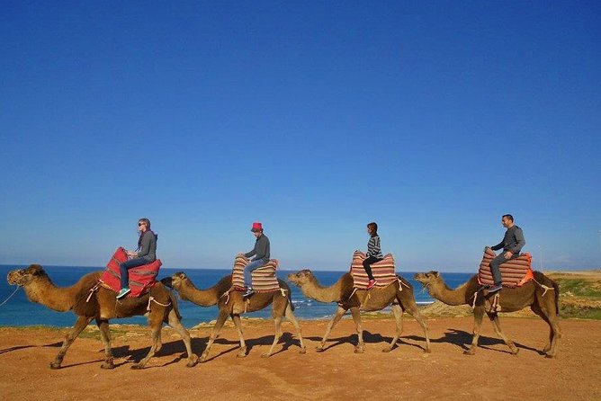 Tangier in Morocco Private Tour From Seville for up to 8 Persons - Inclusions and Exclusions