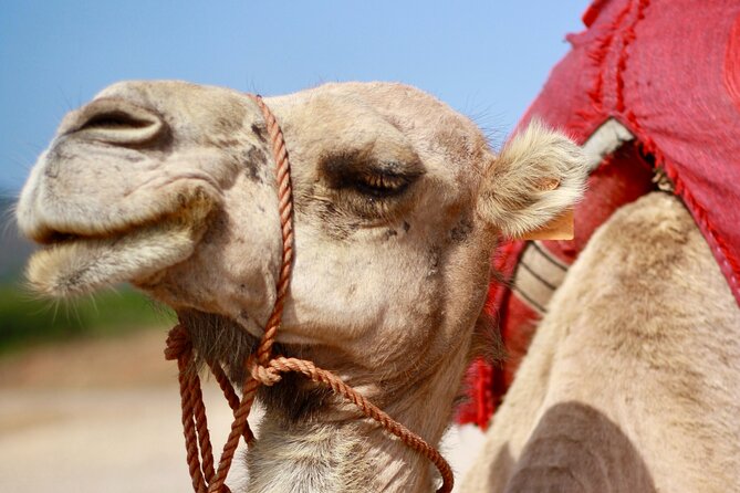 Tangier Private Customized Tours - Meeting and Pickup