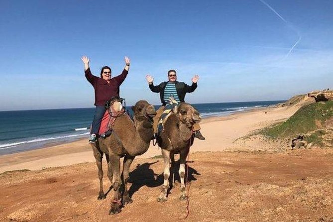 Tangier Private Day Trip From Casablanca by High Speed Train - Overview of the Tour