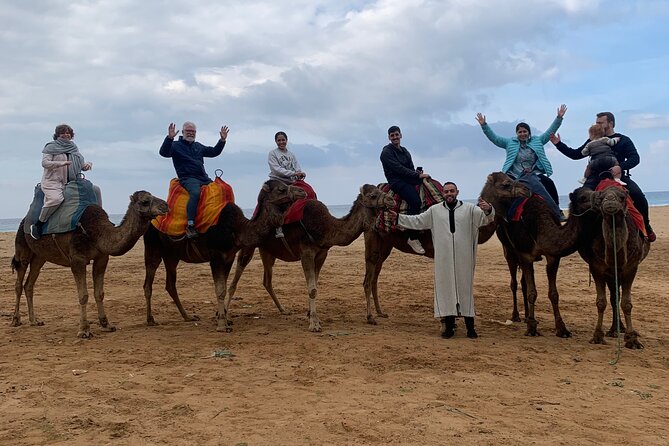 Tangier Private Full Day Tour Including Ferry Ticket & Camel Ride - Logistics and Accessibility