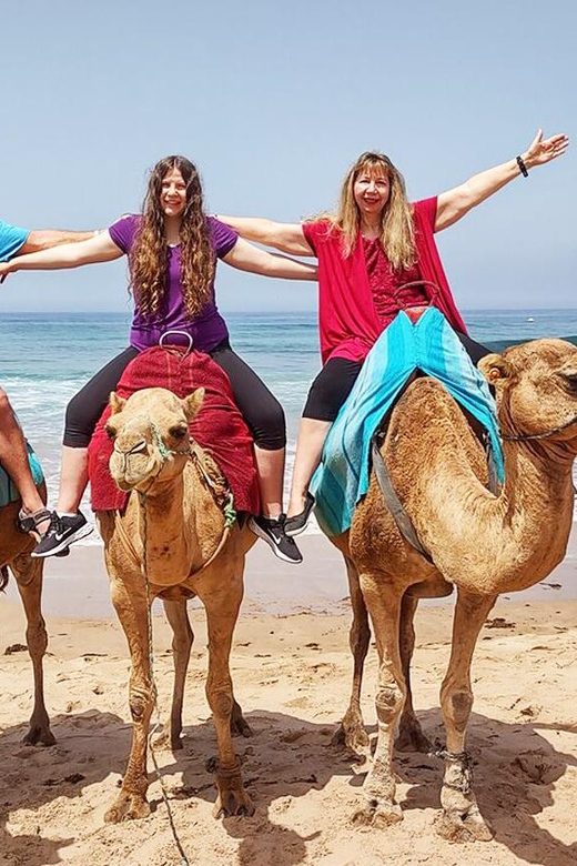 Tangier Private Half-Day Tour + Camel Ride + Add-on: Lunch - Key Points