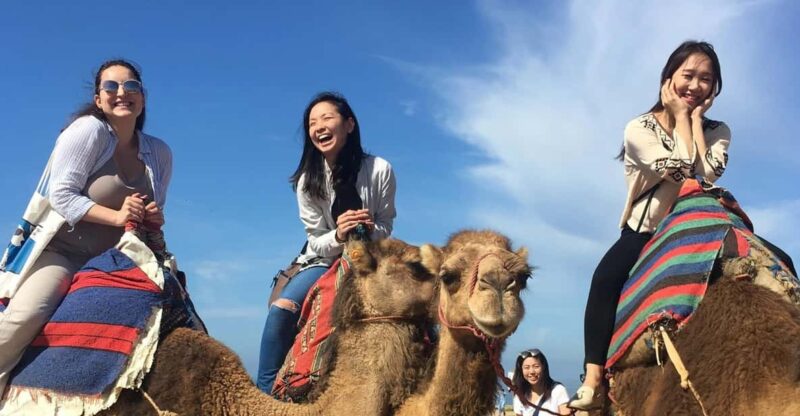 Tangier Private Half-Day Tour + Camel Ride + Add-on: Lunch - Itinerary and Highlights