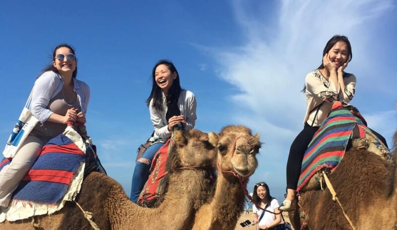 Tangier Private Half-Day Tour + Camel Ride + Add-on: Lunch - Included Services