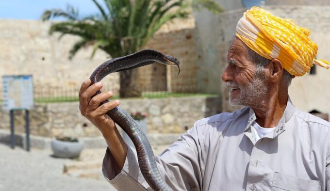 Tangier Private Half-Day Tour + Camel Ride + Add-on: Lunch - Frequently Asked Questions