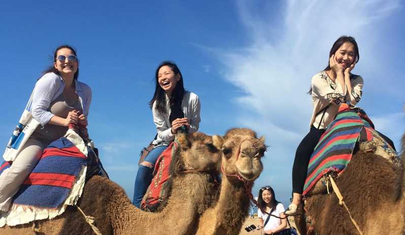 Tangier Private Half-Day Tour + Camel Ride + Add-on: Lunch - Itinerary Highlights