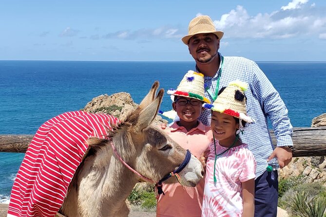 Tangier Private Sightseeing&Walking Tour With Optional Camel Ride - Additional Information