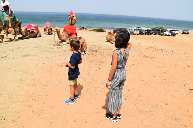 Tangier Private Tour From Malaga or Marbella W/ Guide and Driver - Guided Exploration