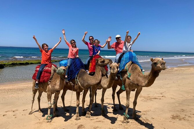 Tangier Private Tour From Tarifa With Express Ferry - Pickup Locations and Options
