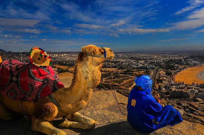 Tangier Small Group Shared Tour - Guided Tour Experience