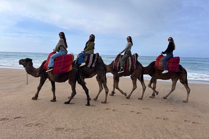 Tangier Tour From Casablanca by High Speed Train - Experiencing the AL Boraq Train